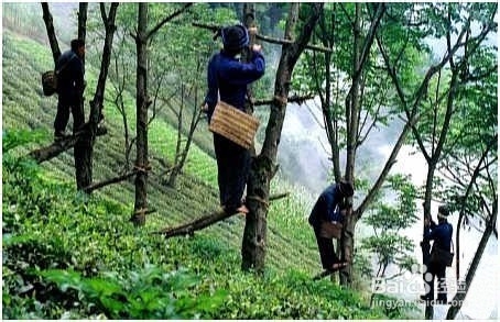 红木家具的表面处理方式有哪些？