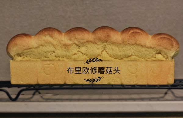 布里欧修蘑菇头版