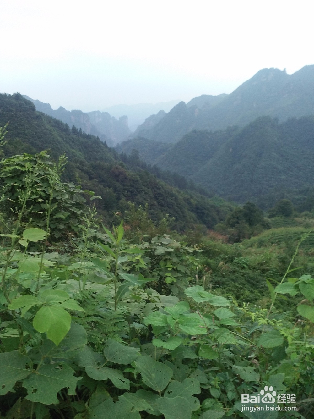 如何编写旅游攻略