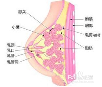 乳腺癌化疗后呕吐怎么办怎么治疗呢