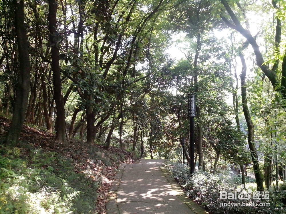 假期旅游之浙江超山风景区