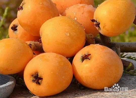 琵琶水果怎么保存