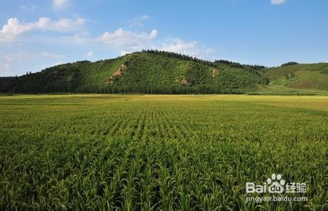农村土地政策,30年不动不代表可以继承