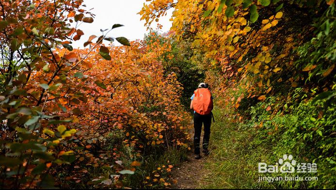 登山戸外运动注意什么