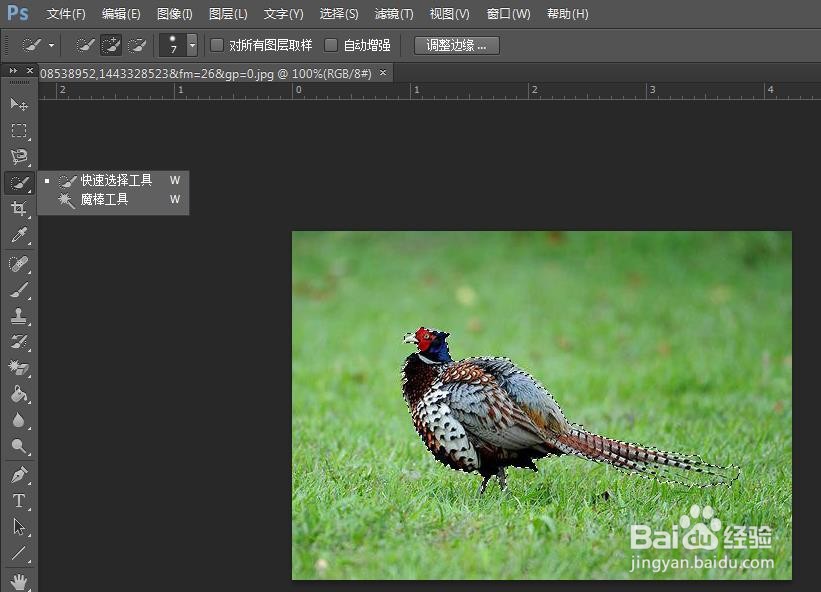 PS的旋转扭曲效果