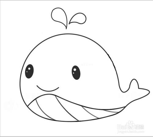小鲸鱼简笔画分步画法 百度经验