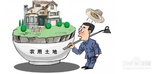 征收过程中，如何分辨征收方的行为瑕疵？