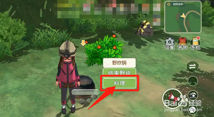 如何使用野炊锅