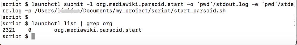 mac如何调试自启动服务脚本