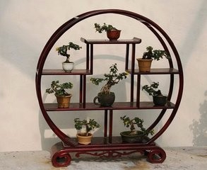 ——如何开盆栽花卉店——
