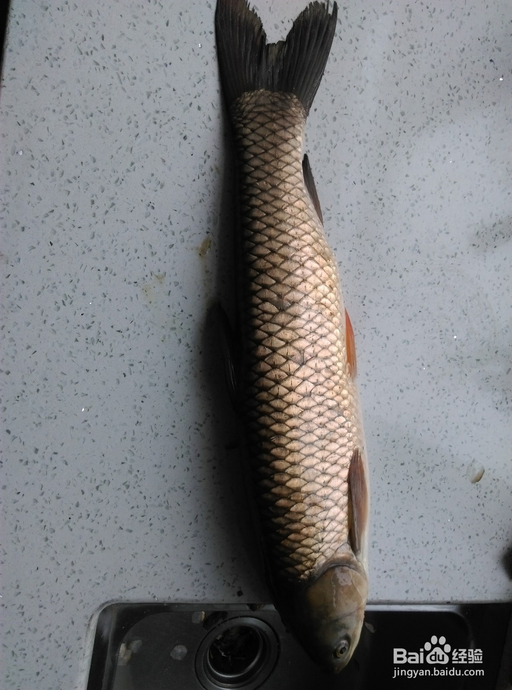 酸菜鱼怎么做好吃