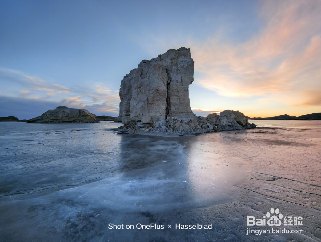 一加9 Pro拍照怎么样?影像实力圈粉无数