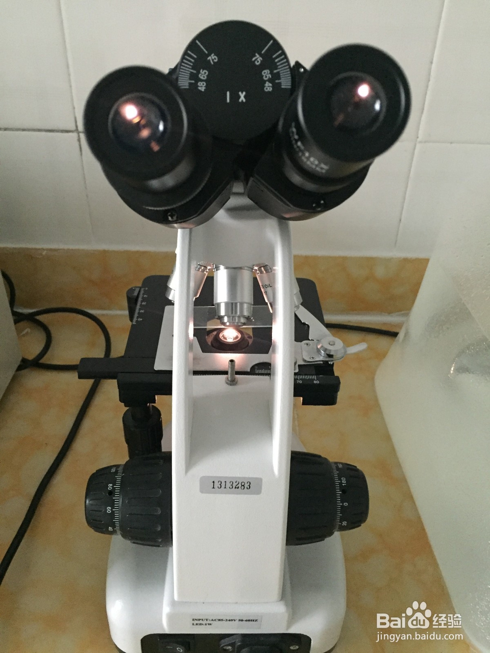 显微镜的使用视频