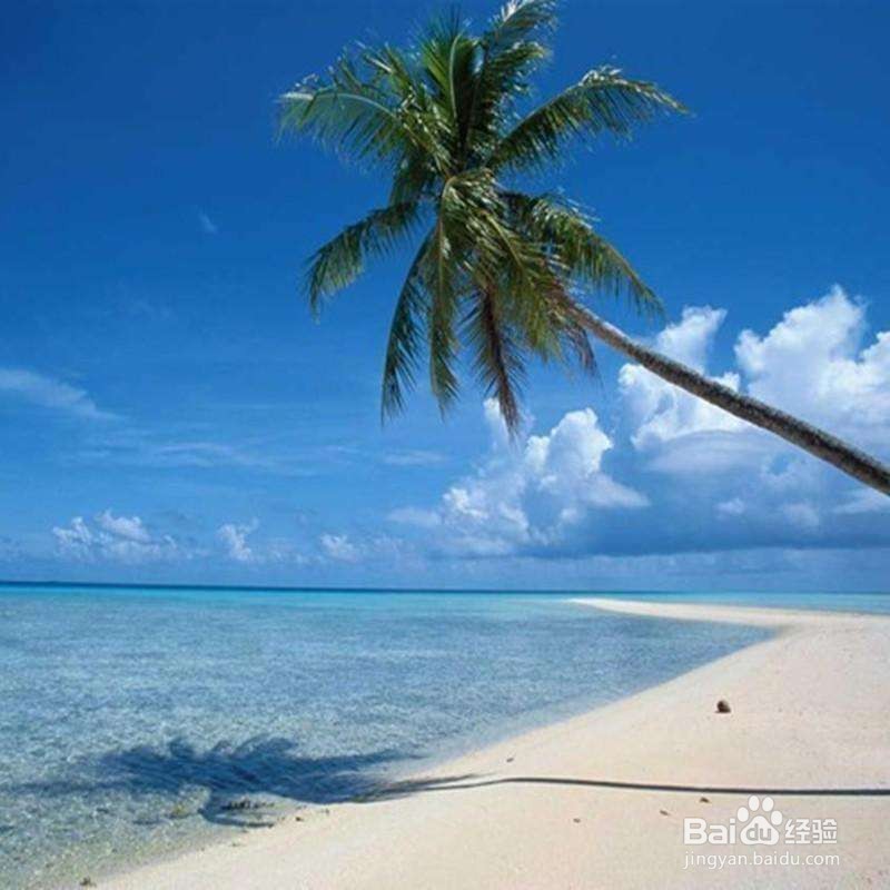 春节三亚自驾游攻略及费用