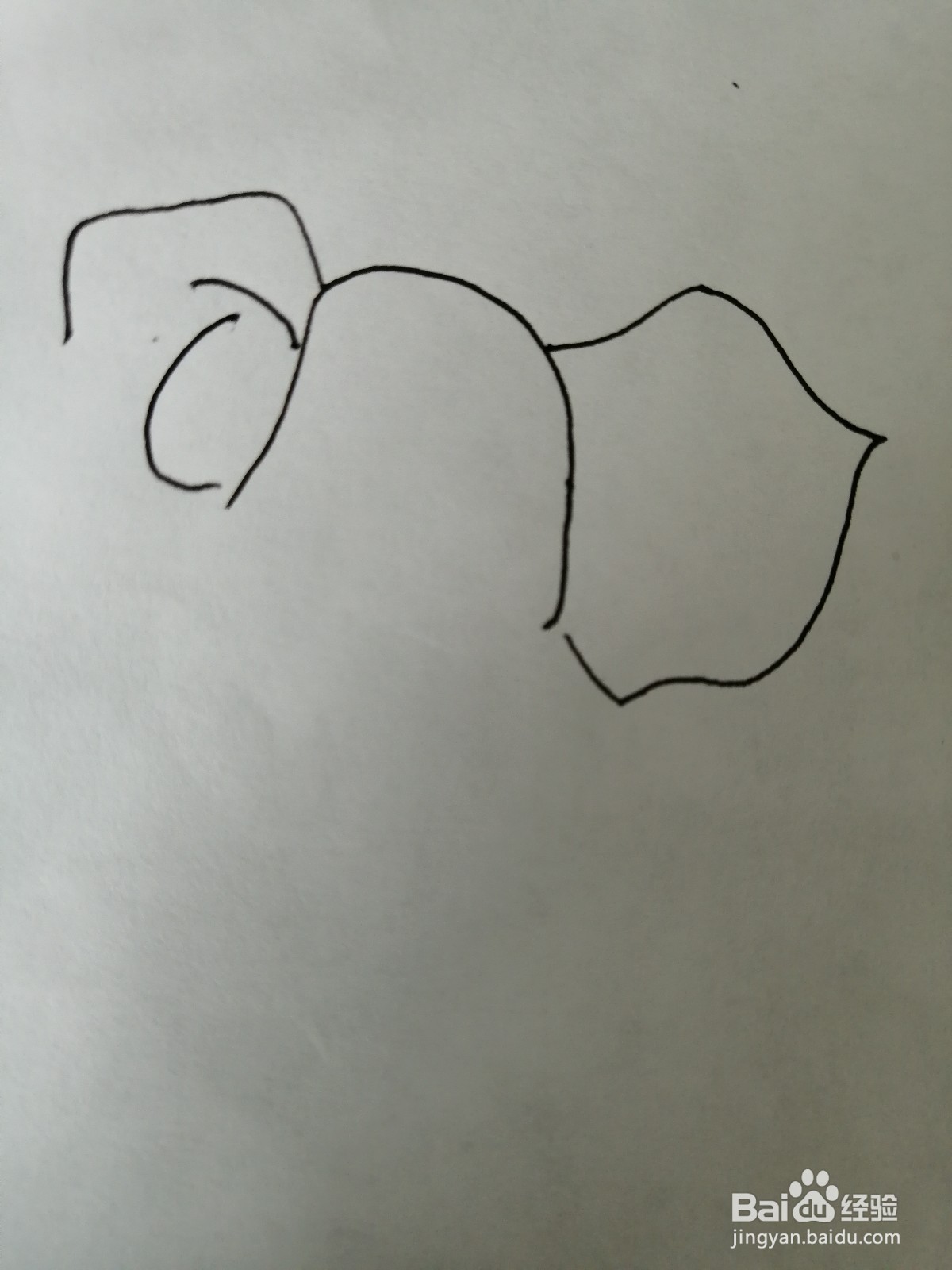 大象简笔画怎么画