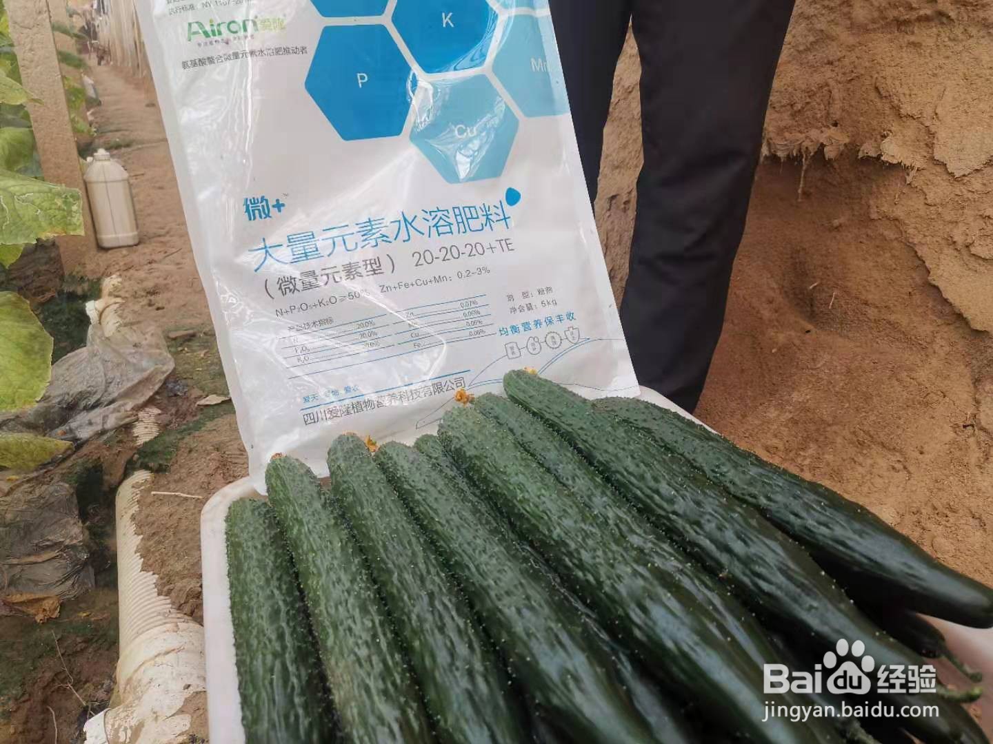 水溶性肥料怎么用3种常见的水溶肥施肥误区!