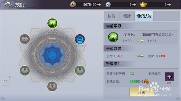 少年锦衣卫组织技能攻略