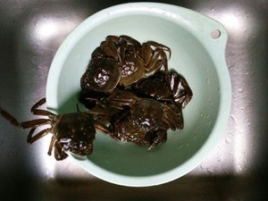 六月黄大闸蟹怎么做好吃什么牌子的六月黄好?