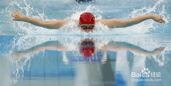 蝶泳时你不知道的几个秘密