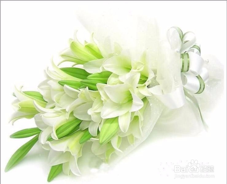 吃什么可以给皮肤补水