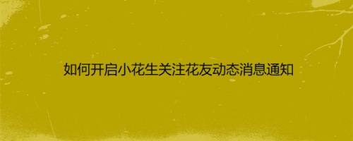 如何开启小花生关注花友动态消息通知