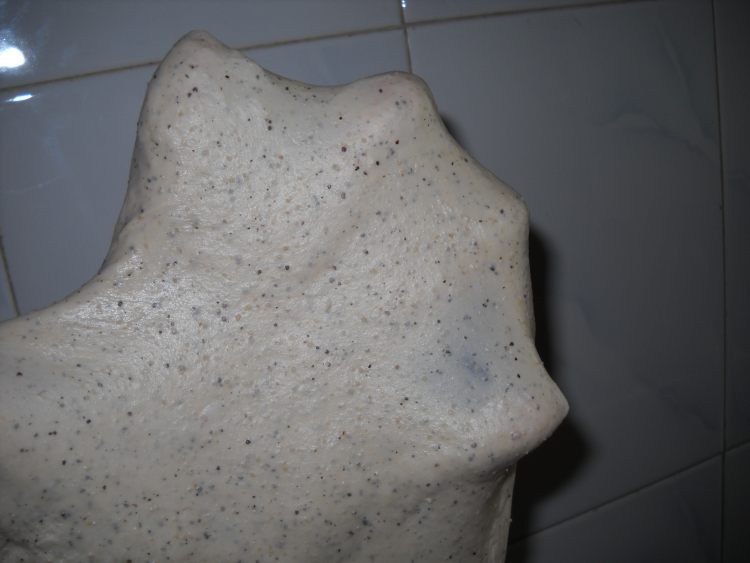 想吃黑豆肉松餐包？轻轻松松就能学会