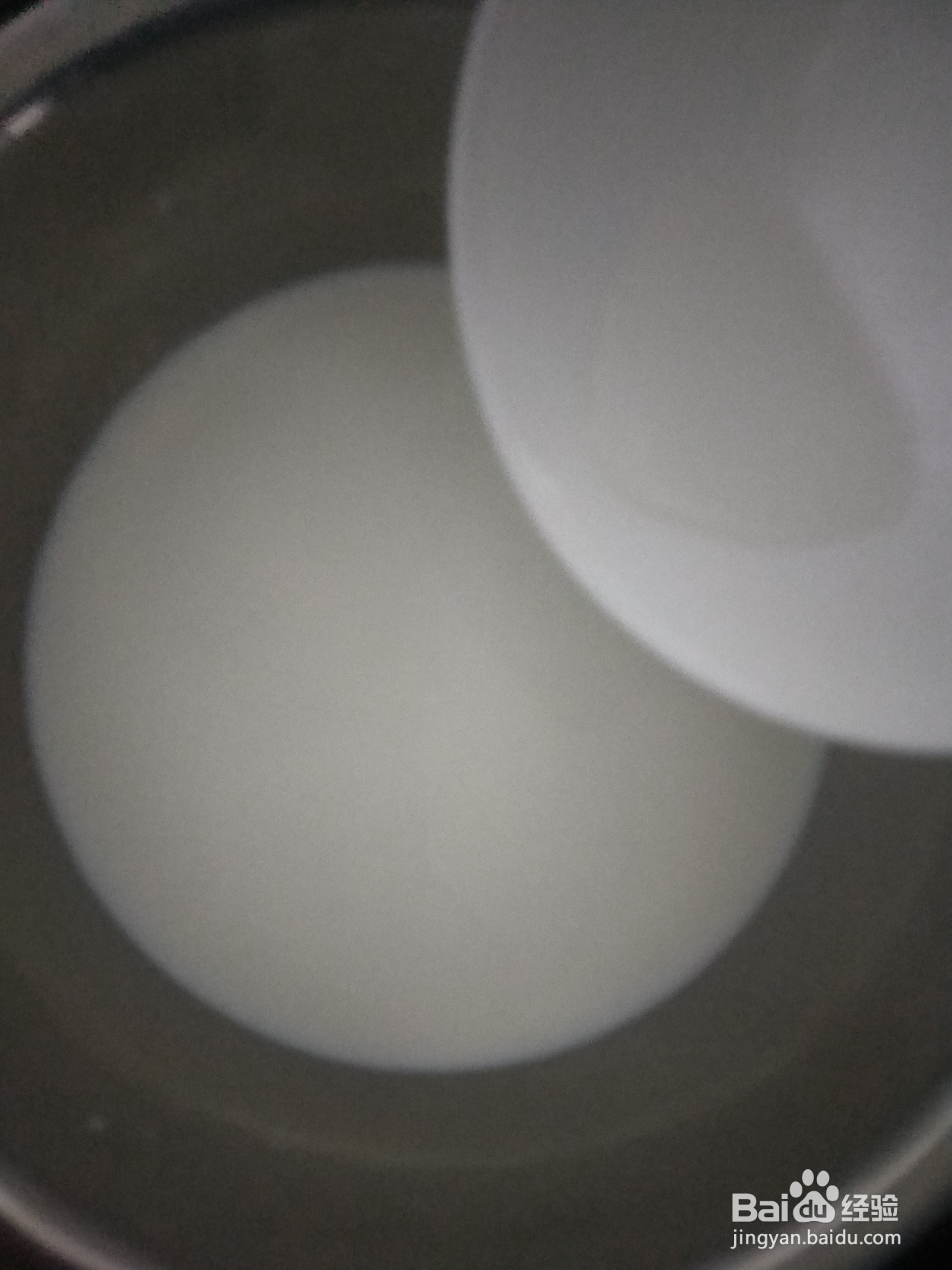 如何在家自己制作奶酪