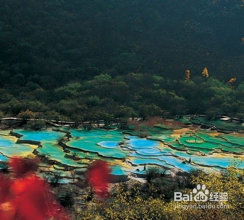 九寨沟_黄龙_“童话世界”四日游