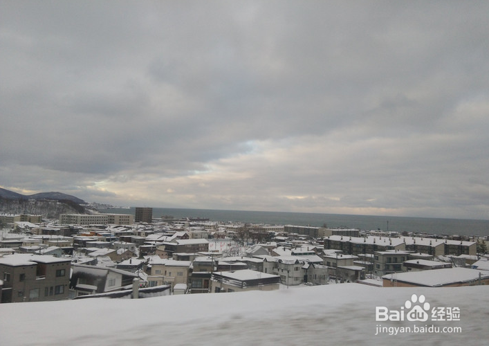 一条性价比爆棚的万元以下日本北海道观雪路线