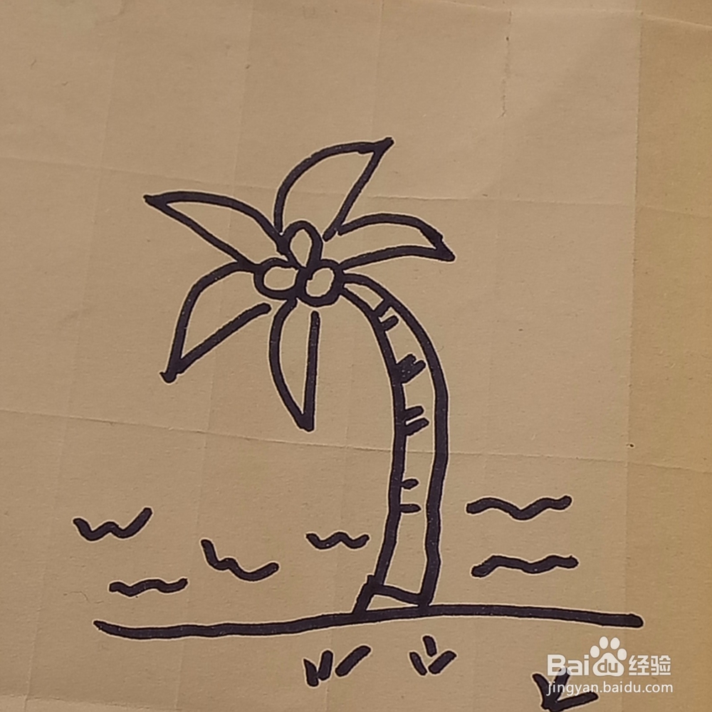 成熟的椰子树儿童简笔画