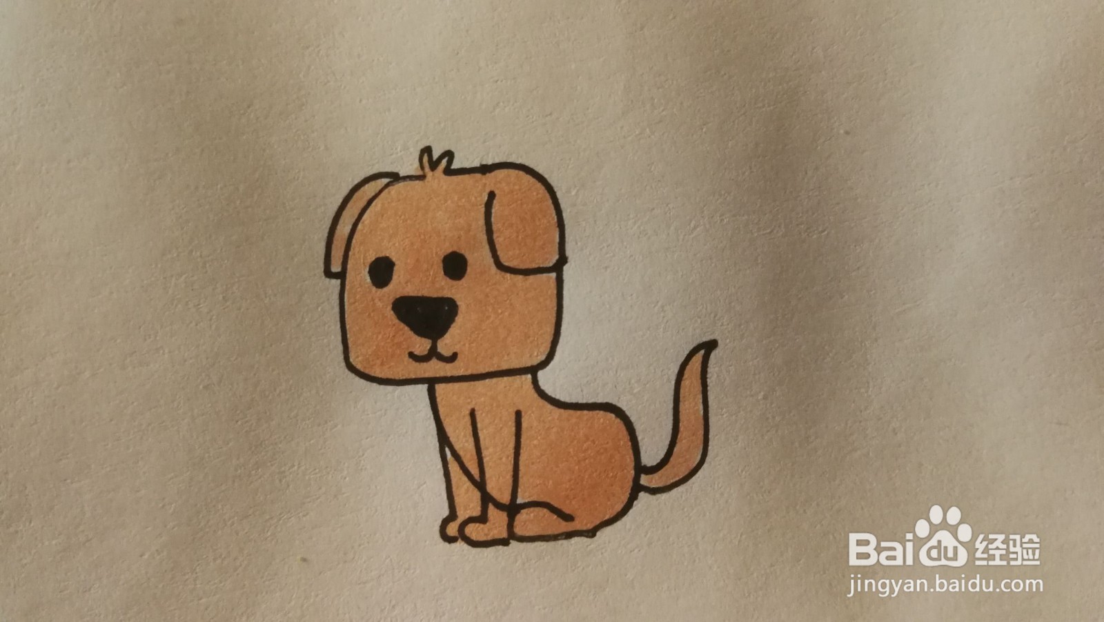 #经验分享官#小狗简笔画