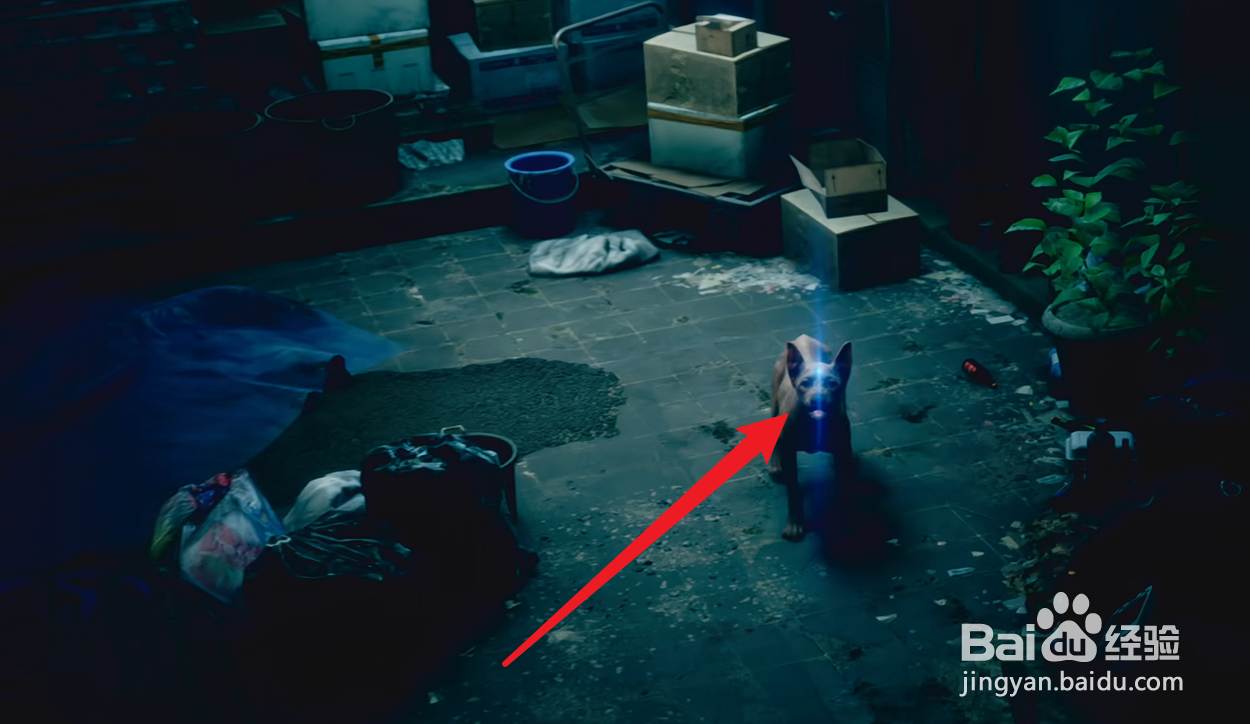 野狗子怎么附身