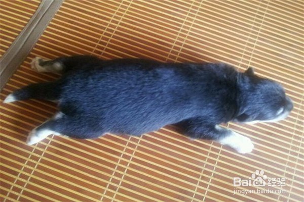 夏季睡凉席的七个注意事项!