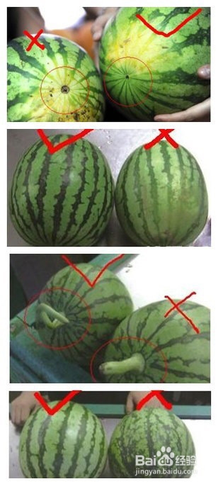 教你怎么挑好水果，太全了！！
