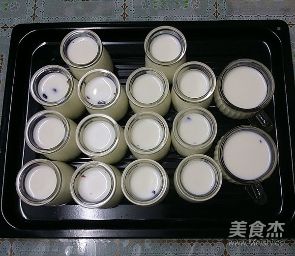 蔓越莓酸奶的做法