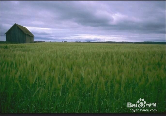 PS教程！风景画打造油画肌理效果