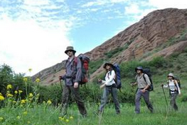 春季适合上班族的运动有哪些