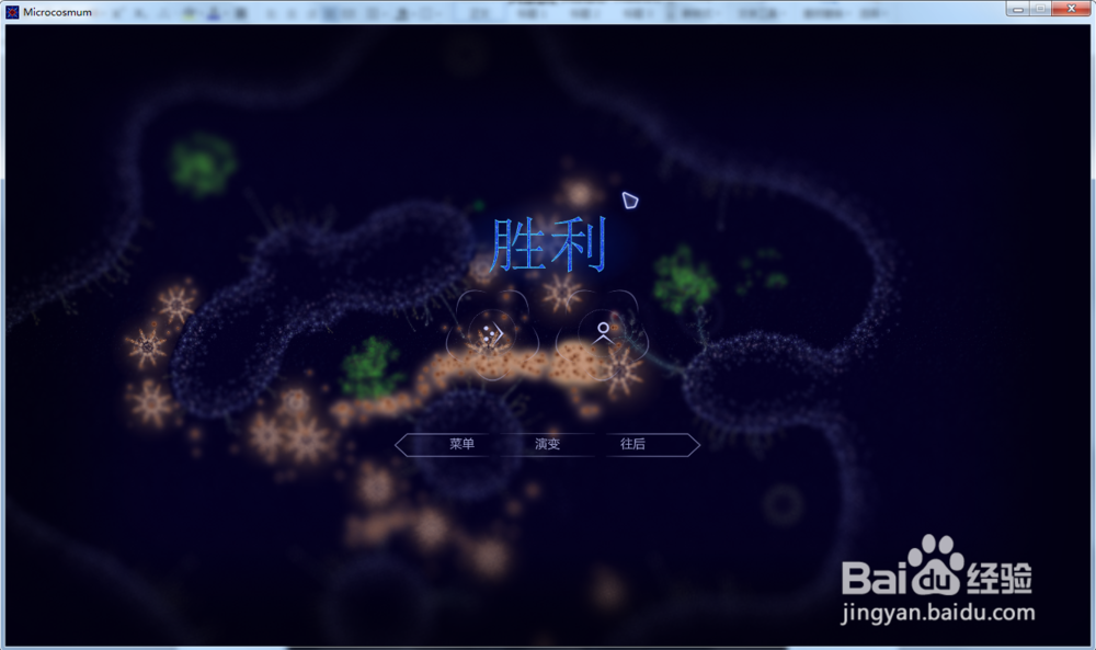 微生物世界—新生命第6关玩法