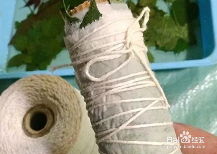 植物转印染方法