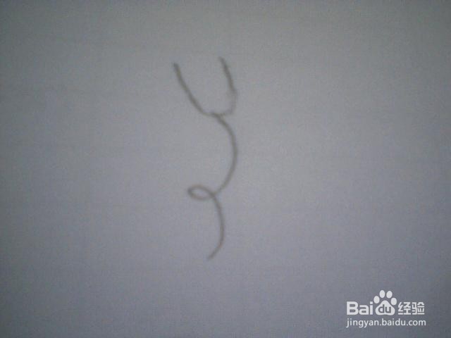 简笔画喇叭花：