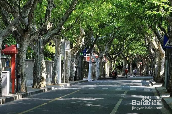 国内值得去的绝美老街你去过几条？