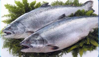 教你丰胸美食 让你吃着吃着胸就大