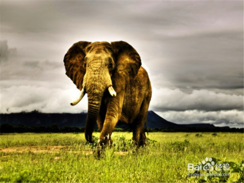 修图ps常用步骤