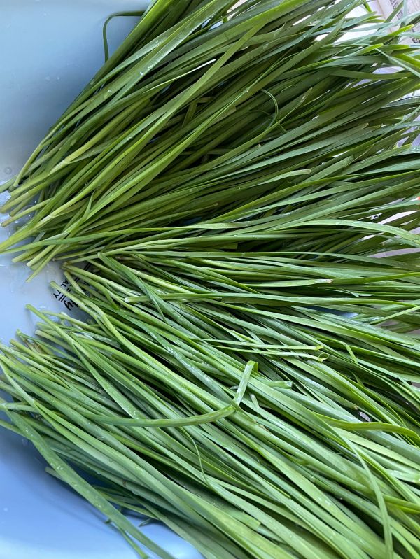 韭菜肉虾米饺子