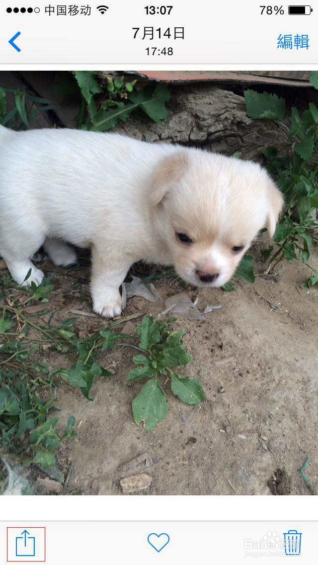 怎样将微信当中的图片转发给QQ好友