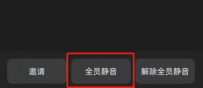 钉钉开会全员静音如何设置