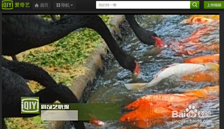 360浏览器怎么屏蔽广告/360浏览器如何屏蔽广告