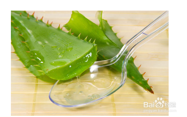 被蚊子咬后，怎么能快速止痒？