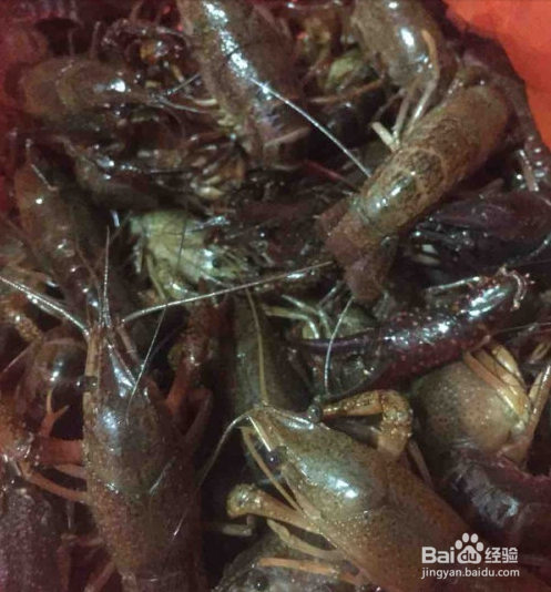 红烧小龙虾的家常做法