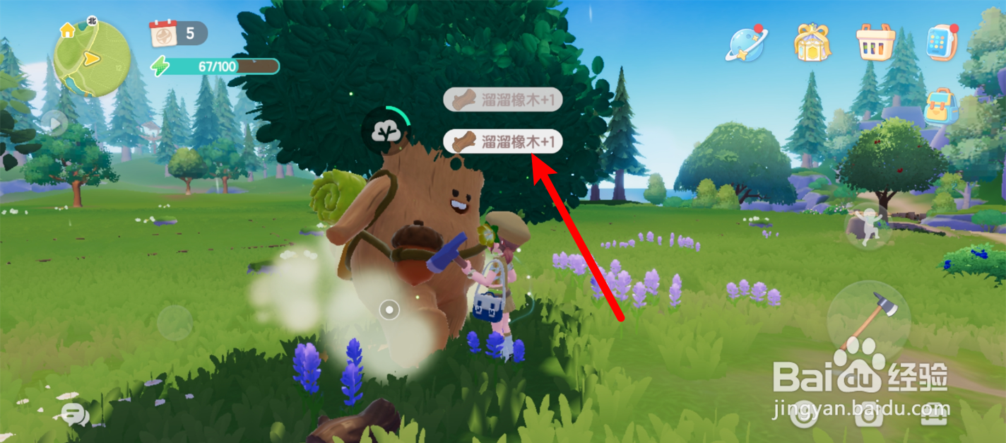 心动小镇8月9日溜溜橡木采集位置攻略